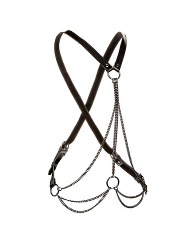 CALEXOTICS - EUPHORIA MULTICHAIN HARNESS PREMIUM ÜBERGRÖSSE