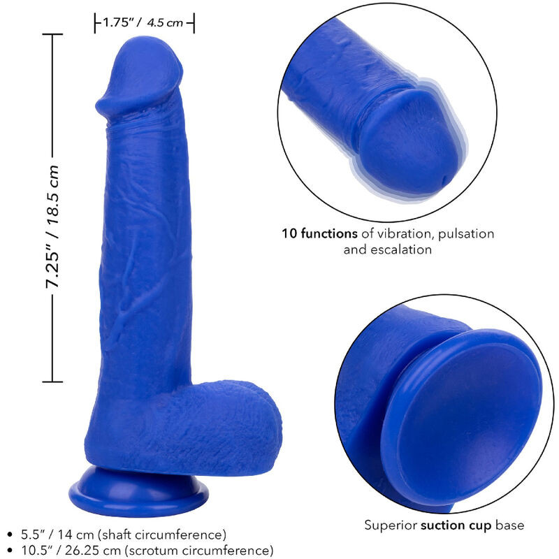 Calexotics - Admiral Captain Realistic Dildo Vibrator Blue - Image 4