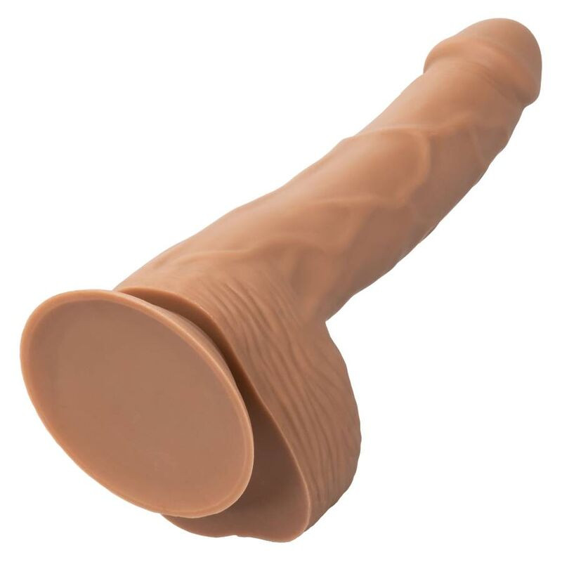 Calexotics - Silicone Studs 20.32 Cm Brown - Image 5