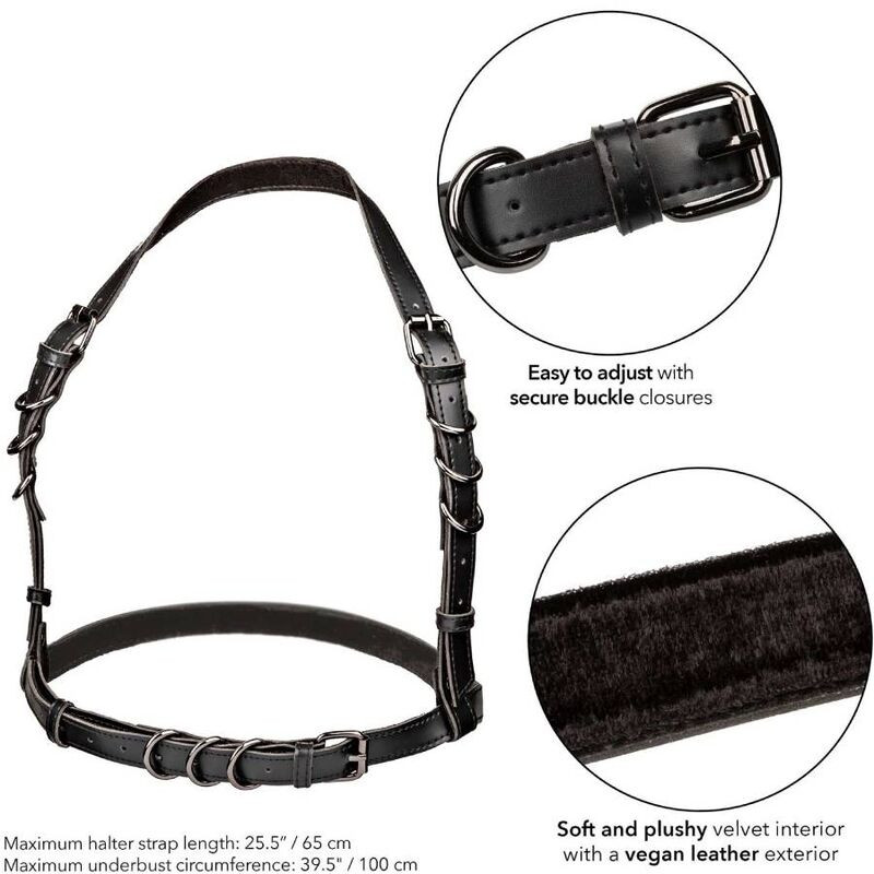 Calexotics - Euphoria Halter Buckle Harness Black - Image 5