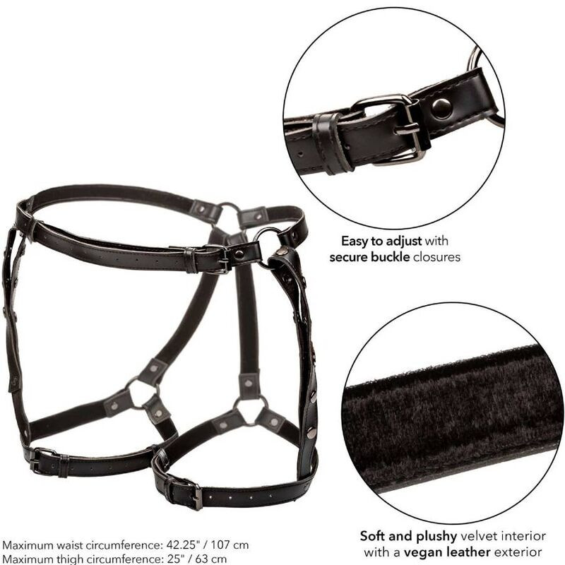CALEXOTICS - EUPHORIA RIDING THIGH HARNESS - Image 5