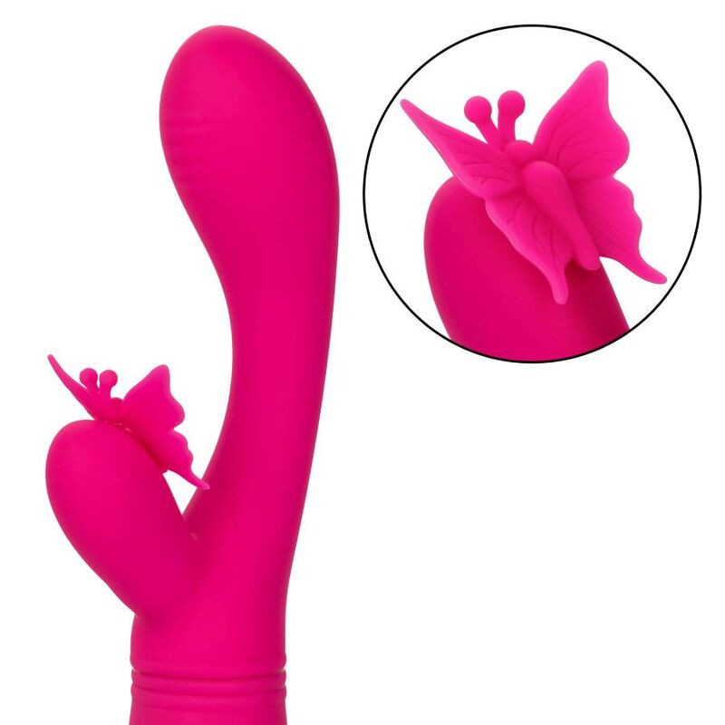 Calexotics - Papillon Kiss Flutter Rose - Image 5