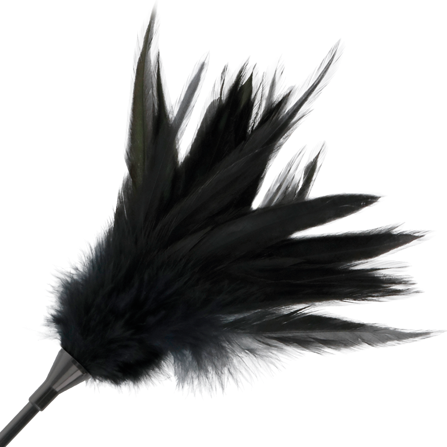 Darkness - Fouet À Plumes Noires - Image 2
