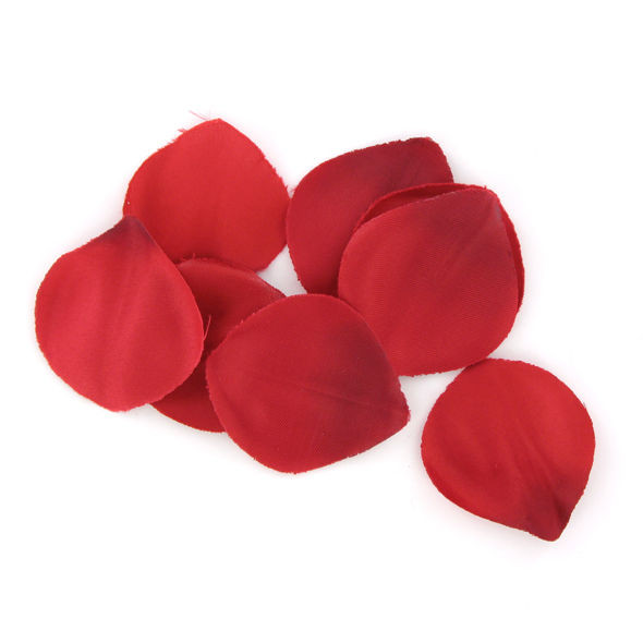 Extase Sensual - Coffre Tentation Rouge - Image 4