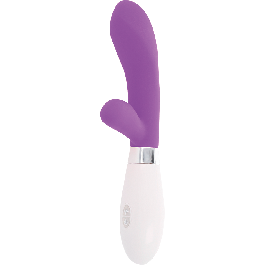Glossy - Jackson Paard Violet - Image 2