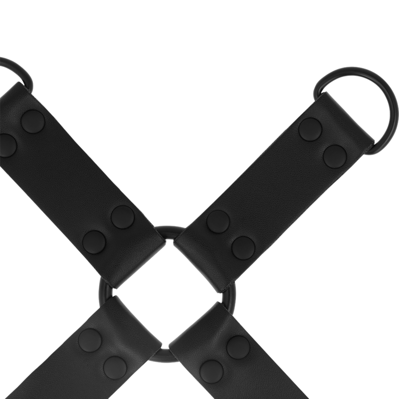 INTENSE - FETISH HOG TIE - Image 4