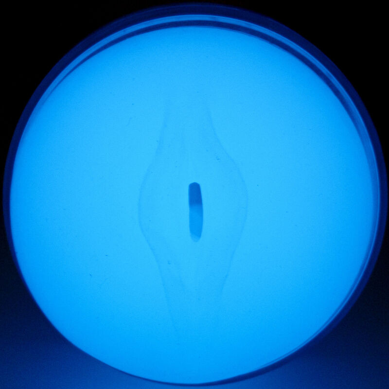 Kiiroo - Feel Glow In The Dark Stroker - Image 4