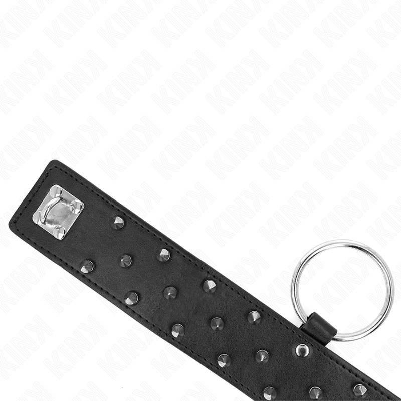 Kink - Collier Avec Laisse 65 Cm Avec Clous Argentés Modèle 5 Réglable 36-43 Cm X 5 Cm - Image 4