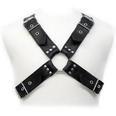 HARNAIS EN CUIR - BOUCLES