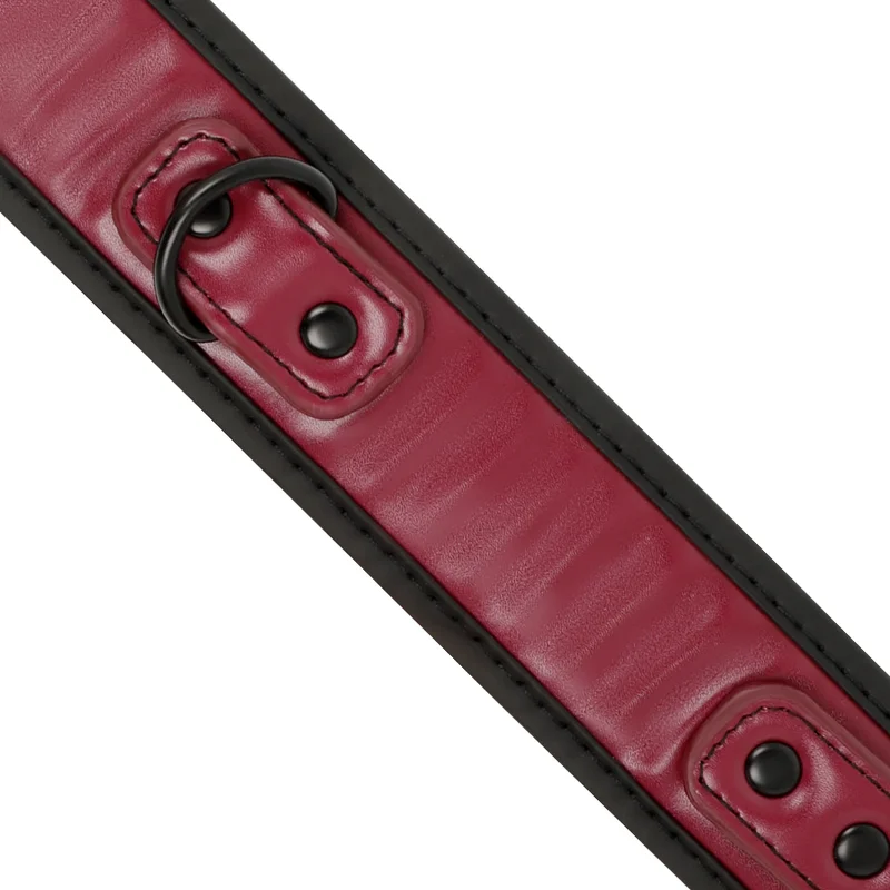 FETISH SUBMISSIVE DARK ROOM - NEOPRENE LINING CHAIN NECKLACE - Image 5