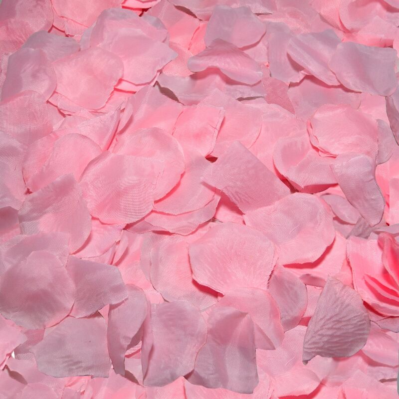 Diablo Picante - 100 Pétales Roses - Image 3