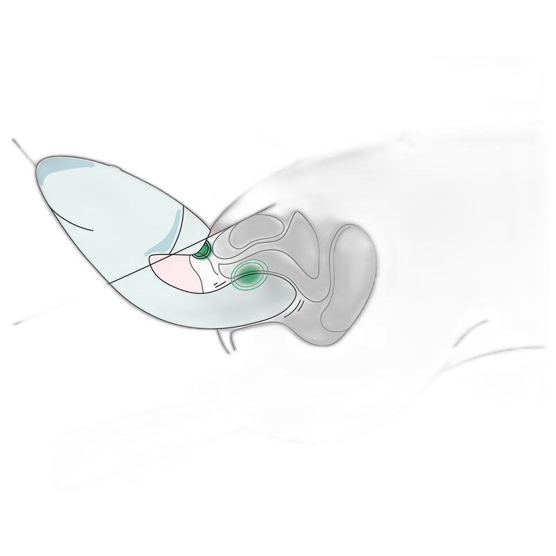 Womanizer - Duo 2 Stimulateur Bleu - Image 16