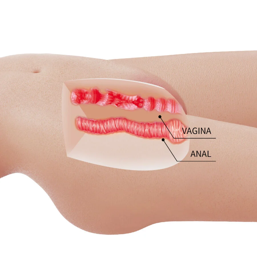 Crazy Bull - Mia Realistic Female Torso Vagina And Anal 8.5 Kg - Image 8