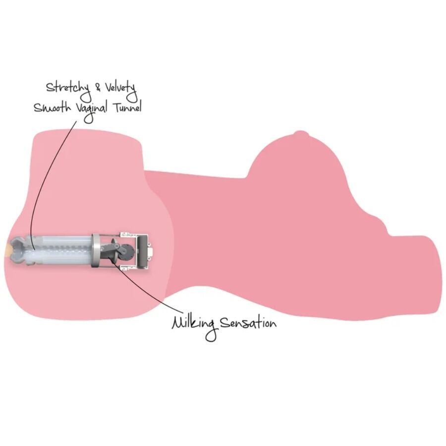 DÉSIR CACHÉ - TORSE DE CHIENNE TRÈS EXCITÉE, MASTURBATEUR FÉMININ 10 KG - Image 7