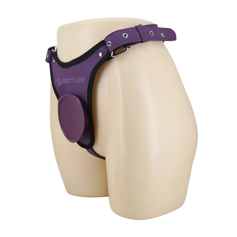 Pretty Love - Universal Strap-On Harness Briefs Purple And Black - Image 4