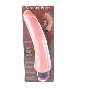 Baile - Realistic Vibrator 19.5 Cm - Image 6